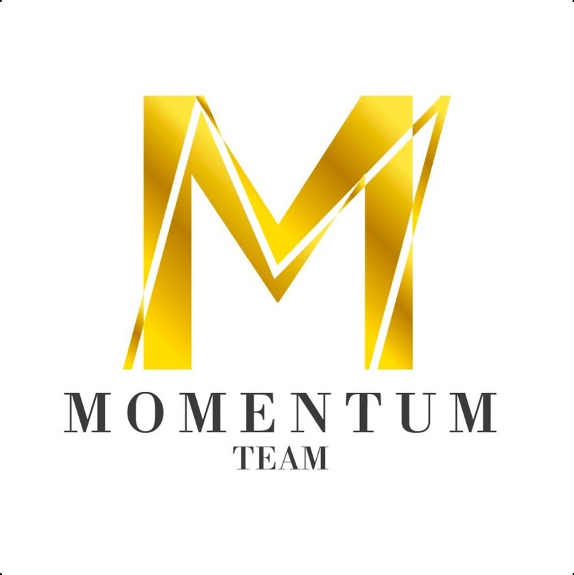 MOMENTUM TEAM logo